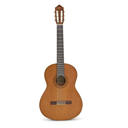 Guitarra Clasica Yamaha C40 - Image 6